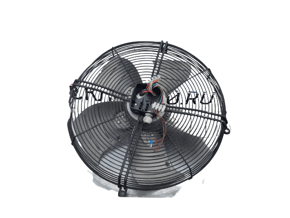 20221019_155655-removebg-preview