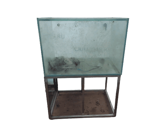 20220605_192835-removebg-preview