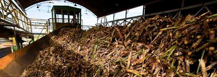 Биотопливные установки.