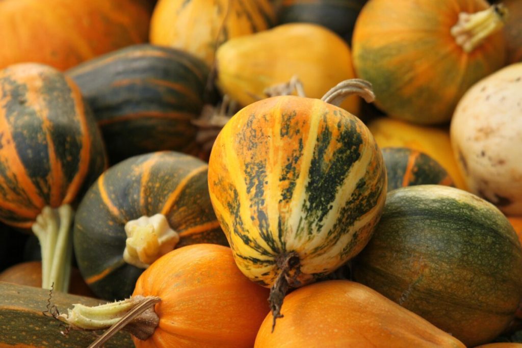 Тыква и питание во время поста.