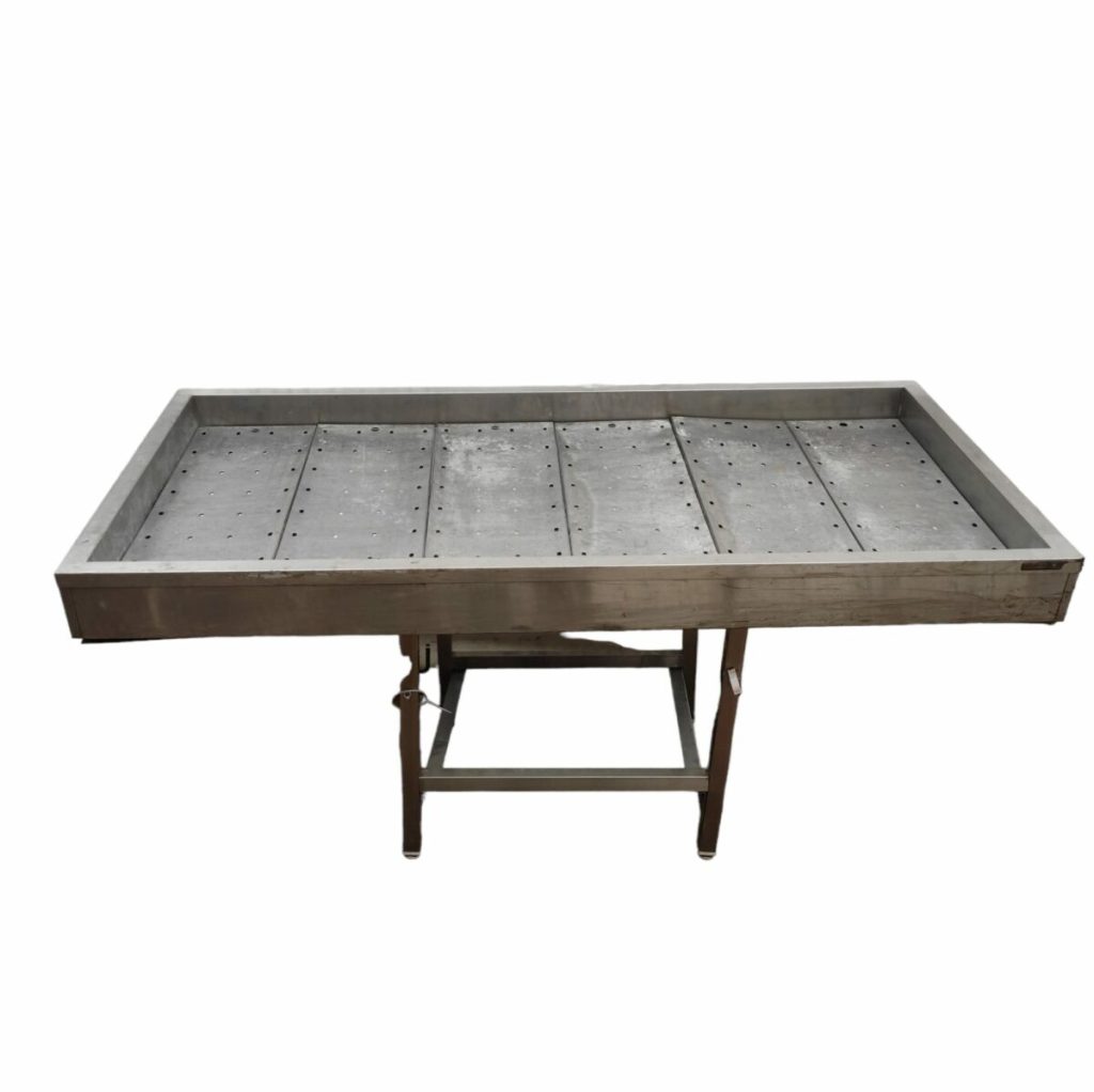 Рыба на льду