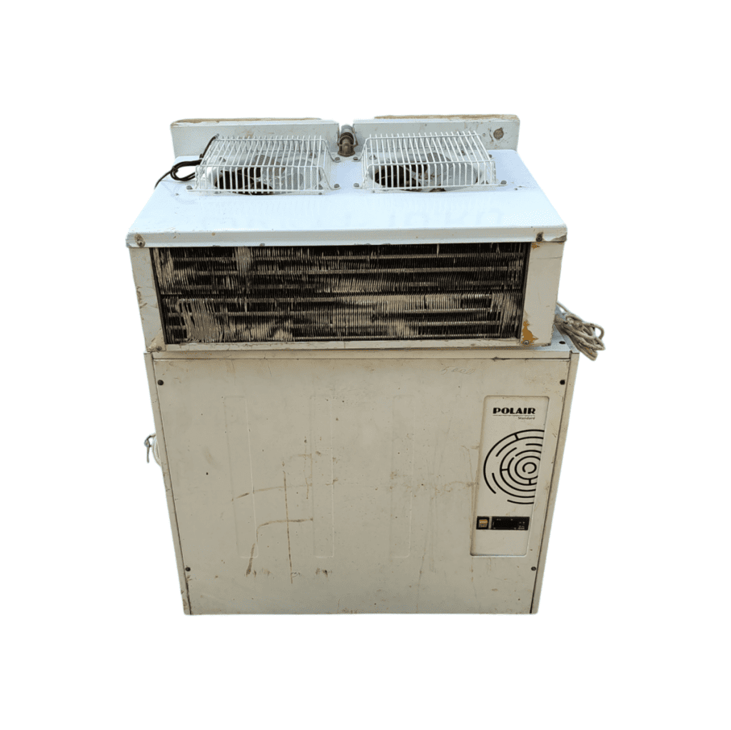 Photoroom 20241001 154559