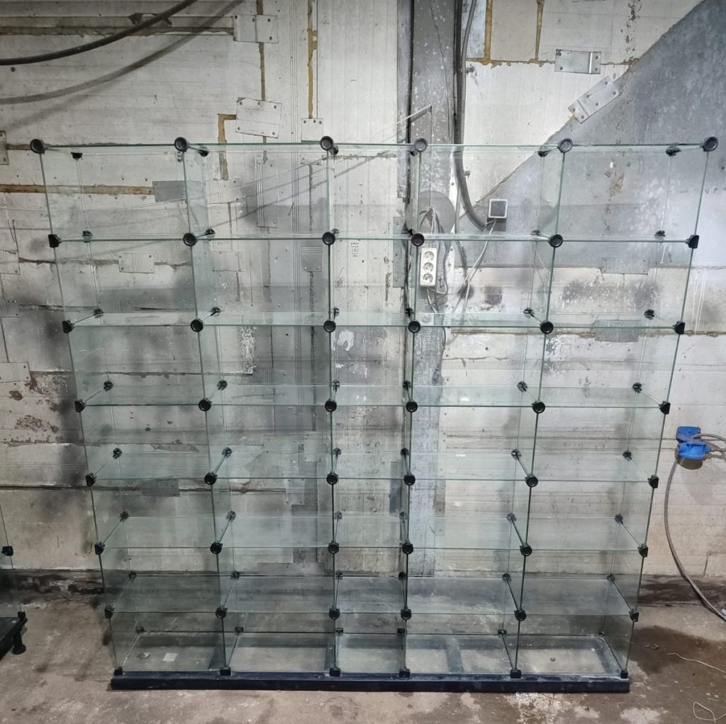 Витрина стеклянные кубы