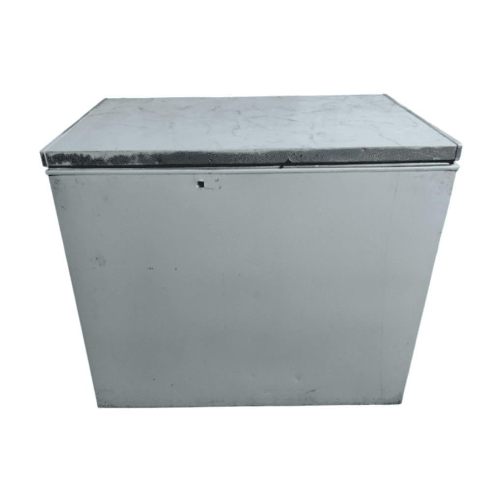 Ларь морозильный Electrolux EC 2709