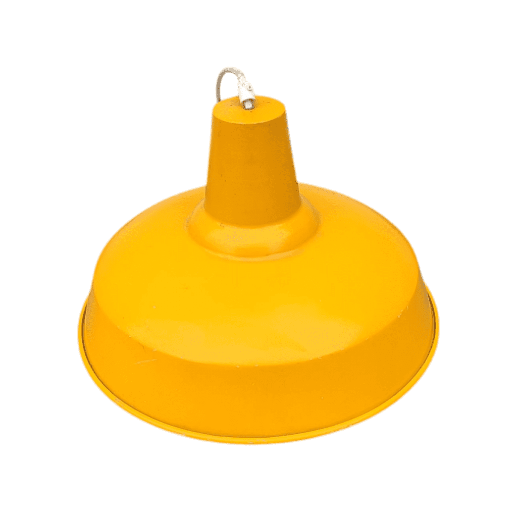 Потолочный светильник Педант