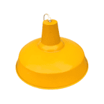 Потолочный светильник Педант