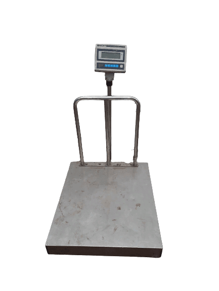 20220820_164117-removebg-preview