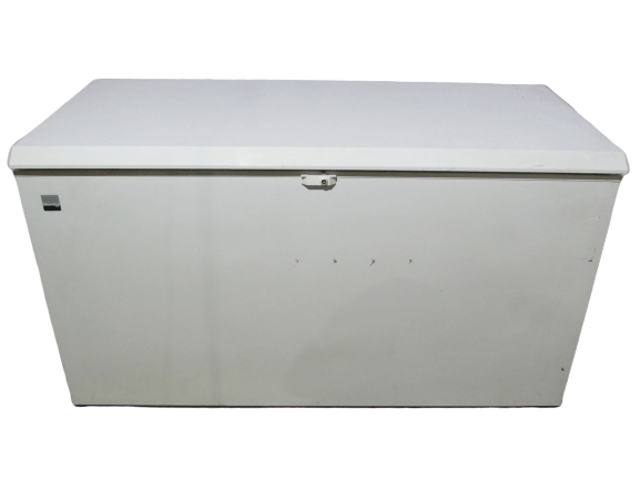 Ларь морозильный Derby F-58