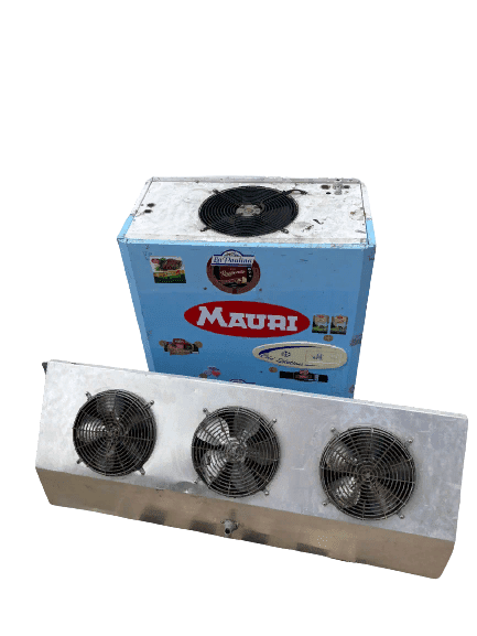 IMG-20220430-WA0011-removebg-preview