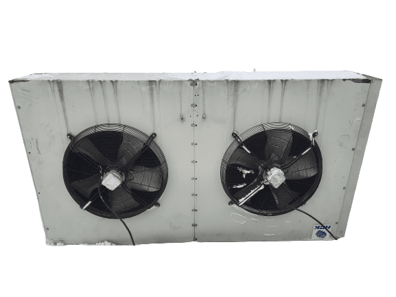 20220130_152446-removebg-preview