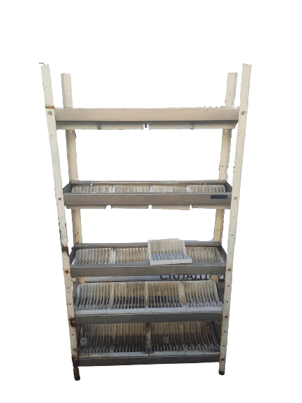 20220314_161708-removebg-preview