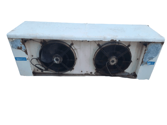 20220419_194355-removebg-preview