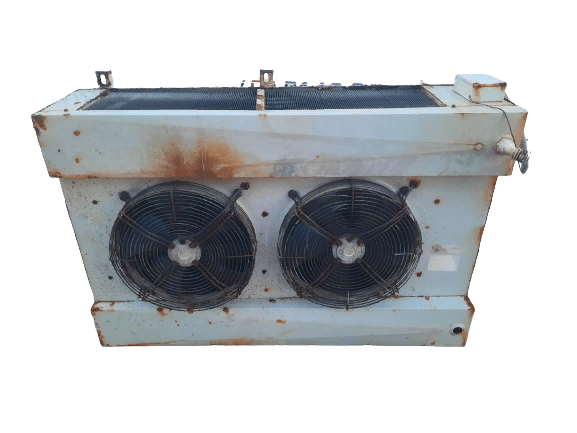 20220419_195002-removebg-preview