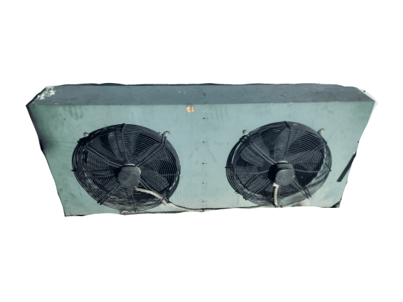 20221206_170000-removebg-preview