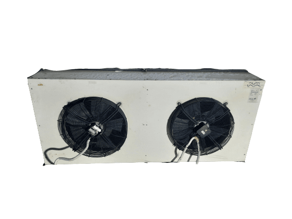 20221206_170220-removebg-preview