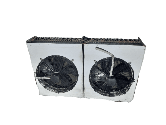 20221206_190650-removebg-preview