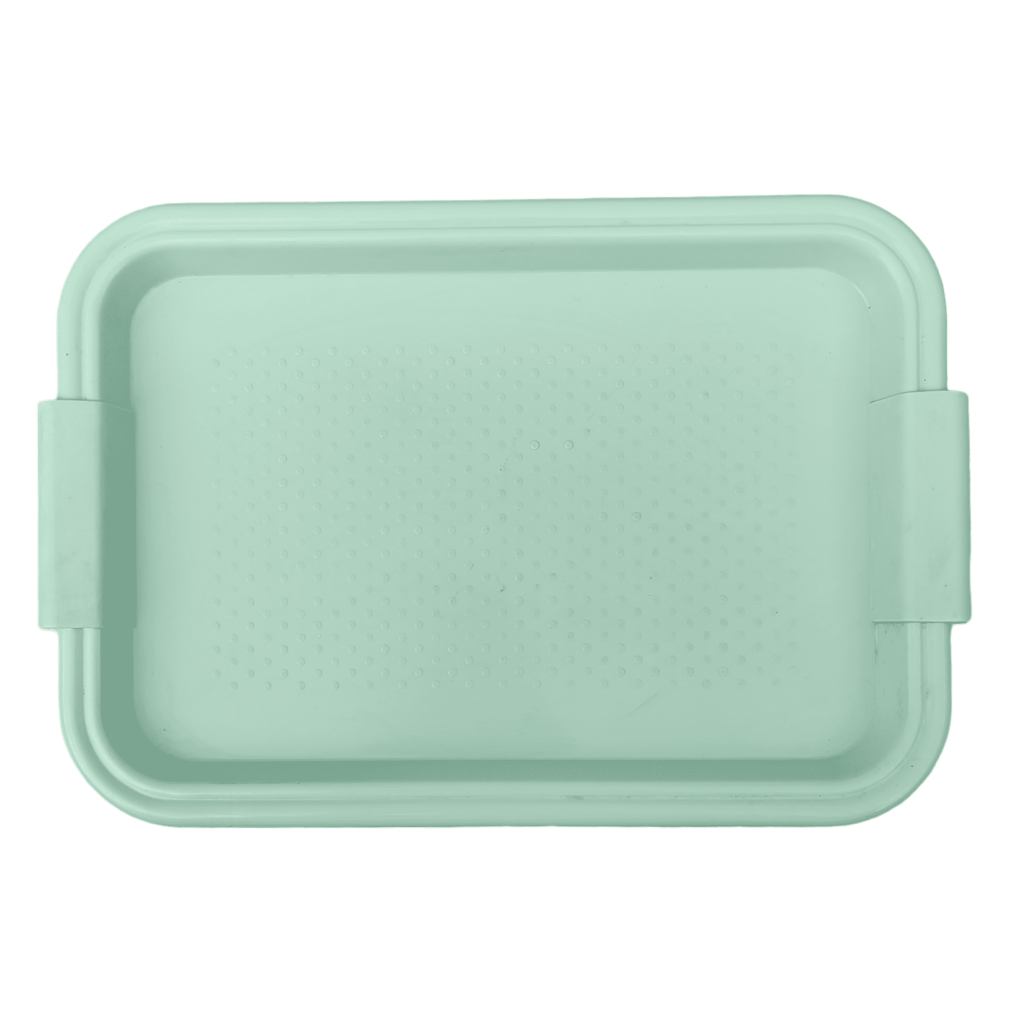 Поднос пластиковый синий