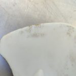 Img 20240922 141017 result