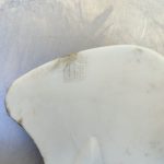 Img 20240922 141023 result