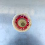 Img 20241001 152915 result