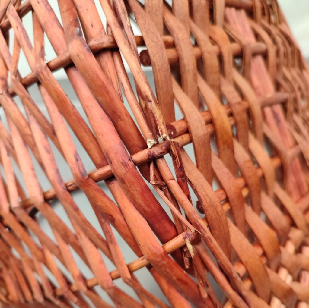 Img 20241009 113344 result