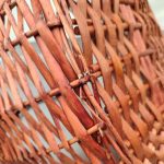 Img 20241009 113344 result