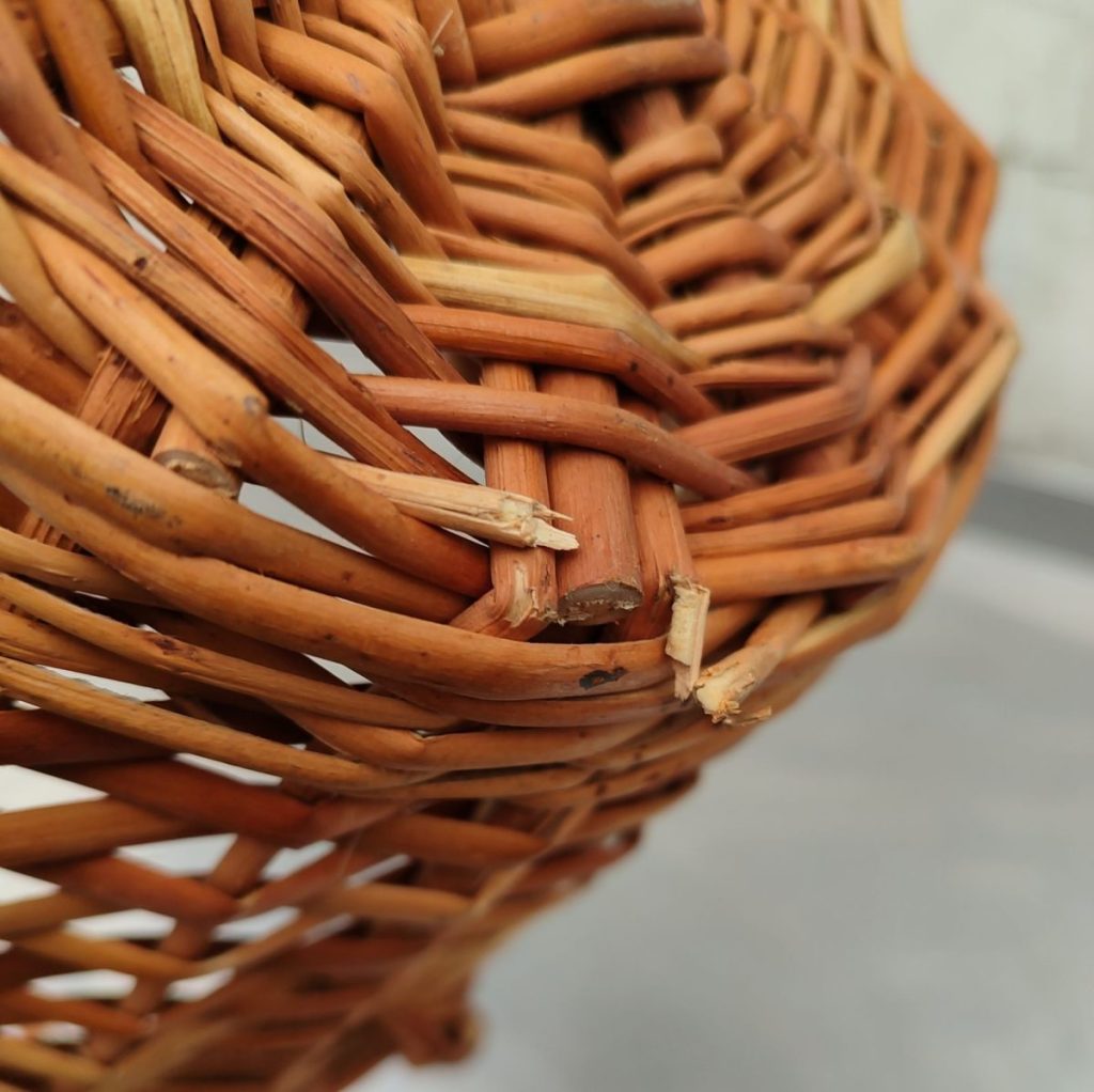 Img 20241009 114502 result