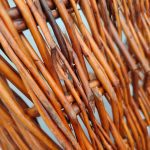 Img 20241009 120611 result