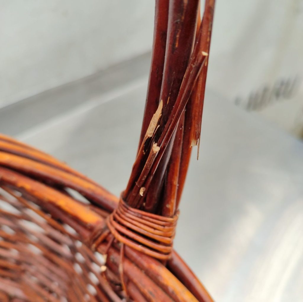 Img 20241009 121743 result