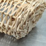 Img 20241009 123025 result