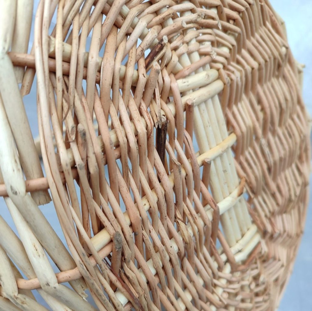 Img 20241009 123408 result