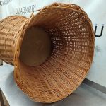 Img 20241009 161117 result