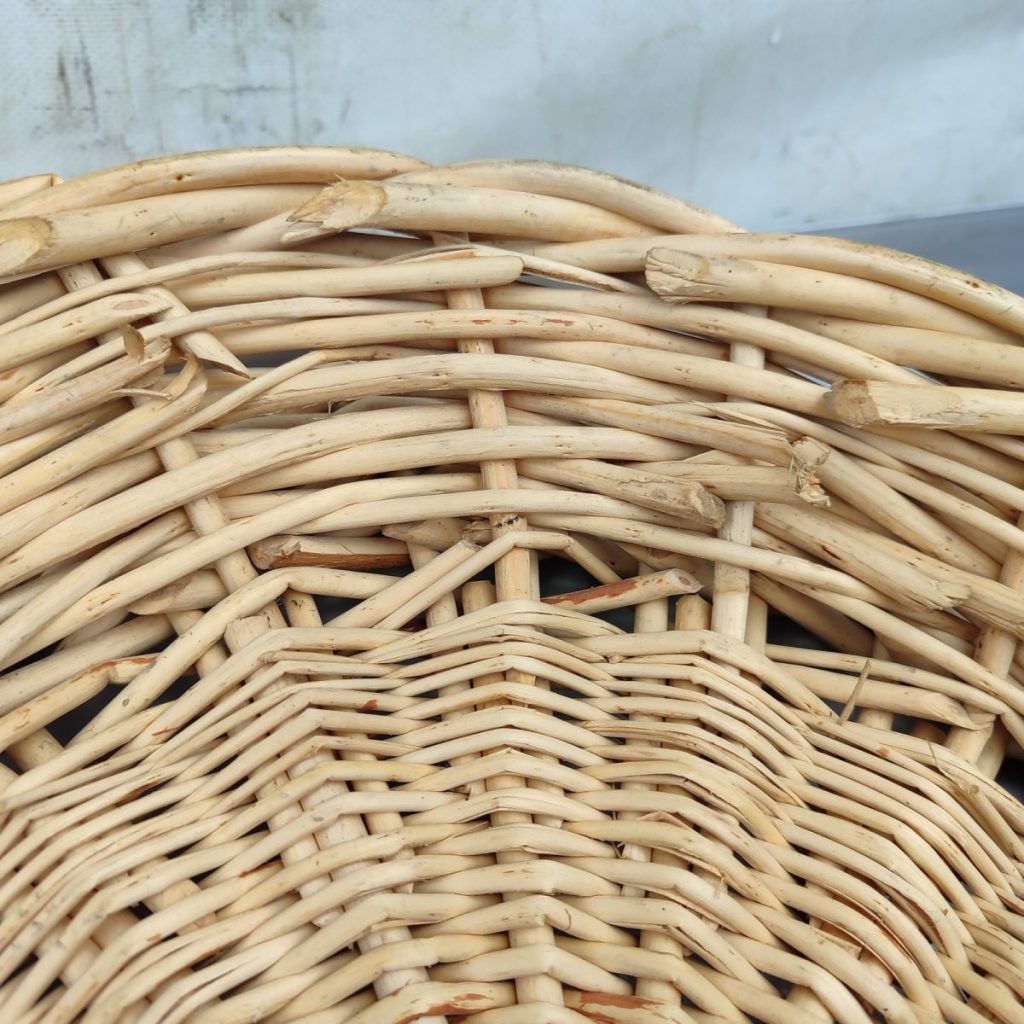 Img 20241010 102546 result