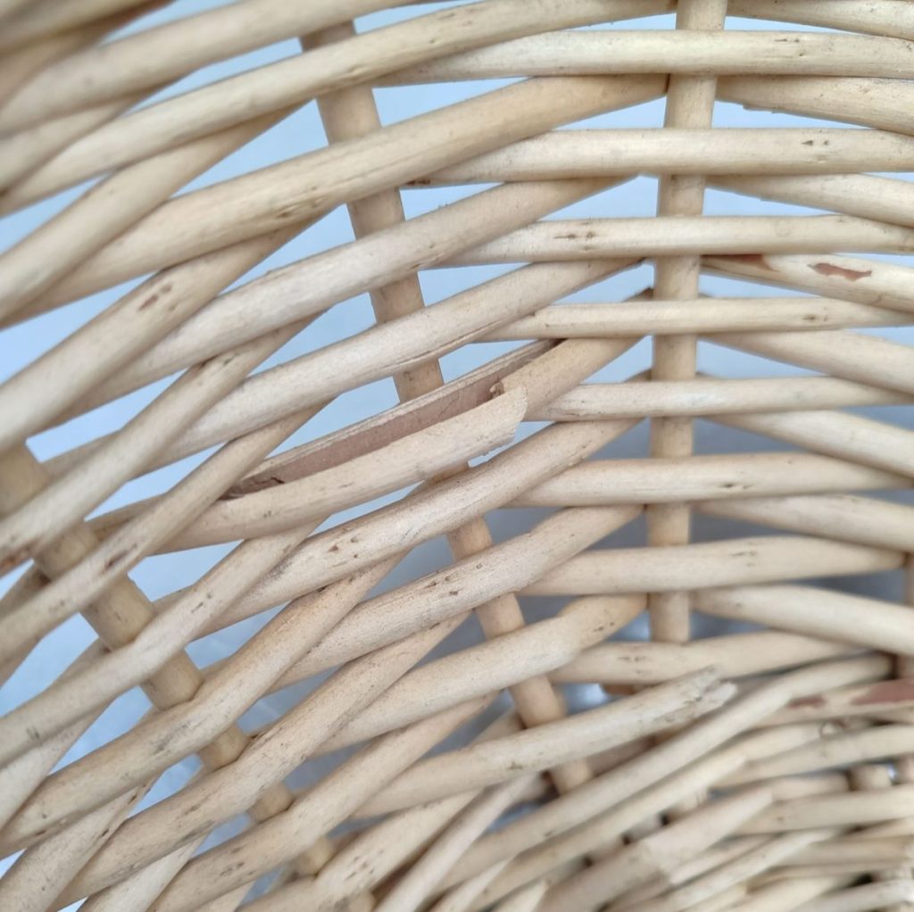 Img 20241010 103644 result