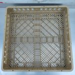 Img 20241012 165818 result