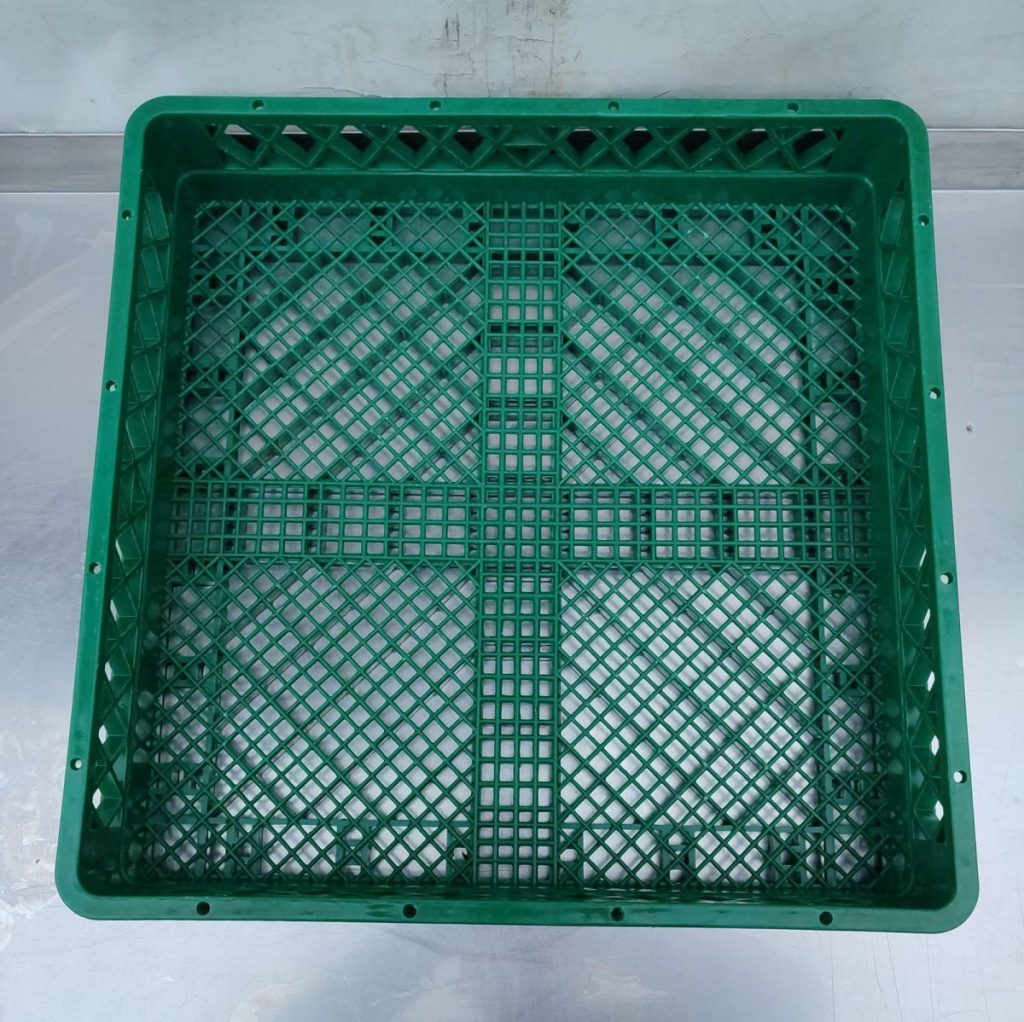 Img 20241012 171242 result