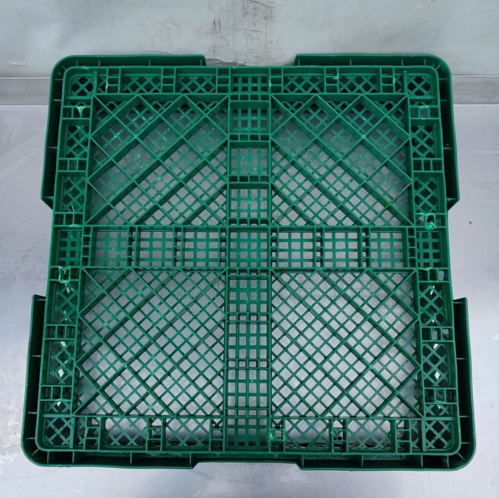 Img 20241012 171250 result