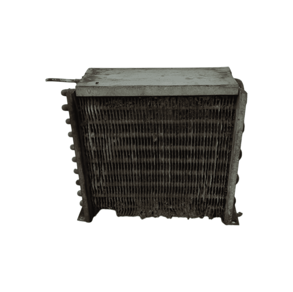 Photoroom 20250221 162225